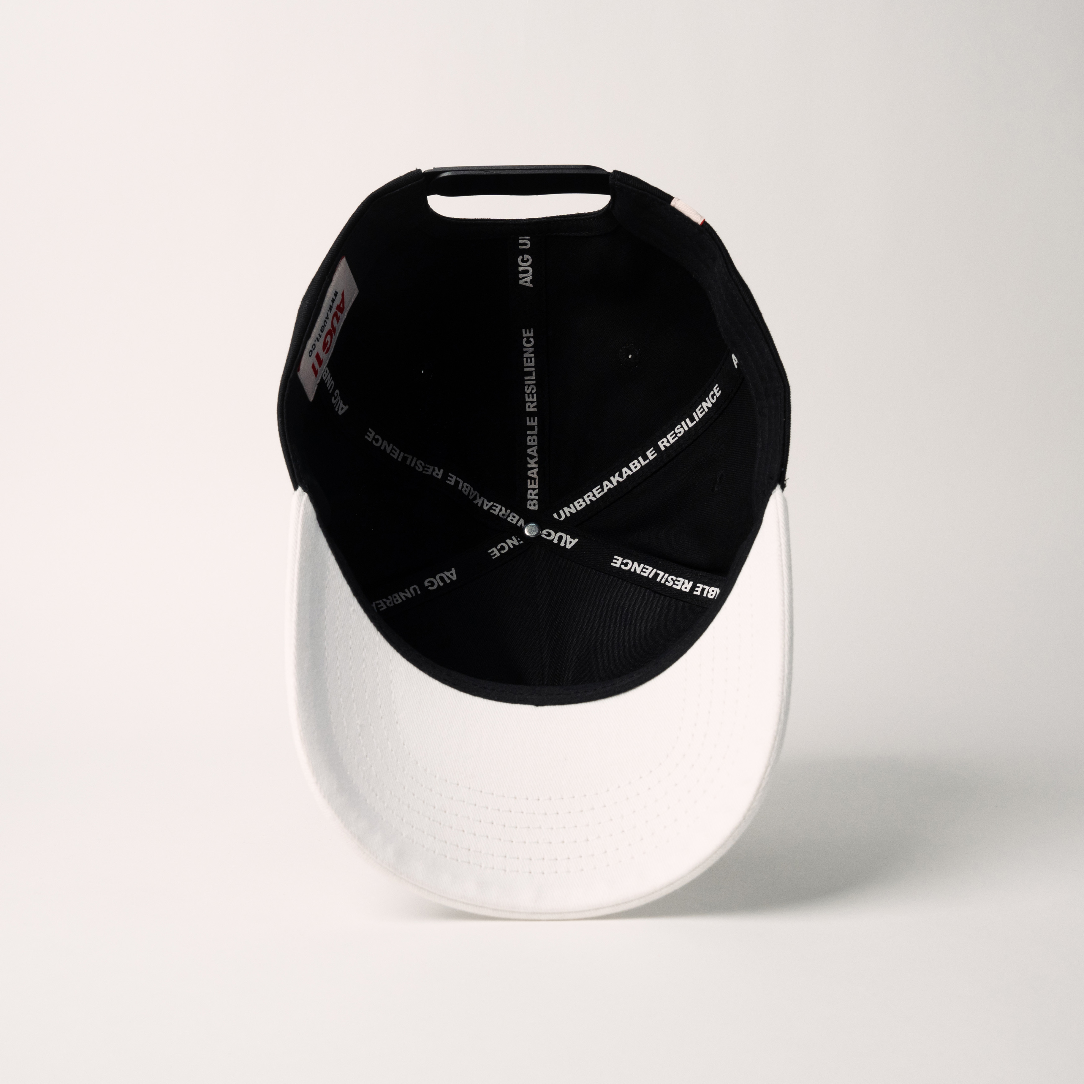 Art Snapback (Reverse OG)